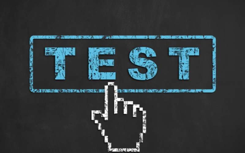 Genuine Temporary Entrant Test